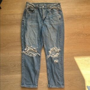 American Eagle Outfitters Light Blue Denim
